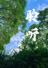 聆听(校园1v1)txt未删减
